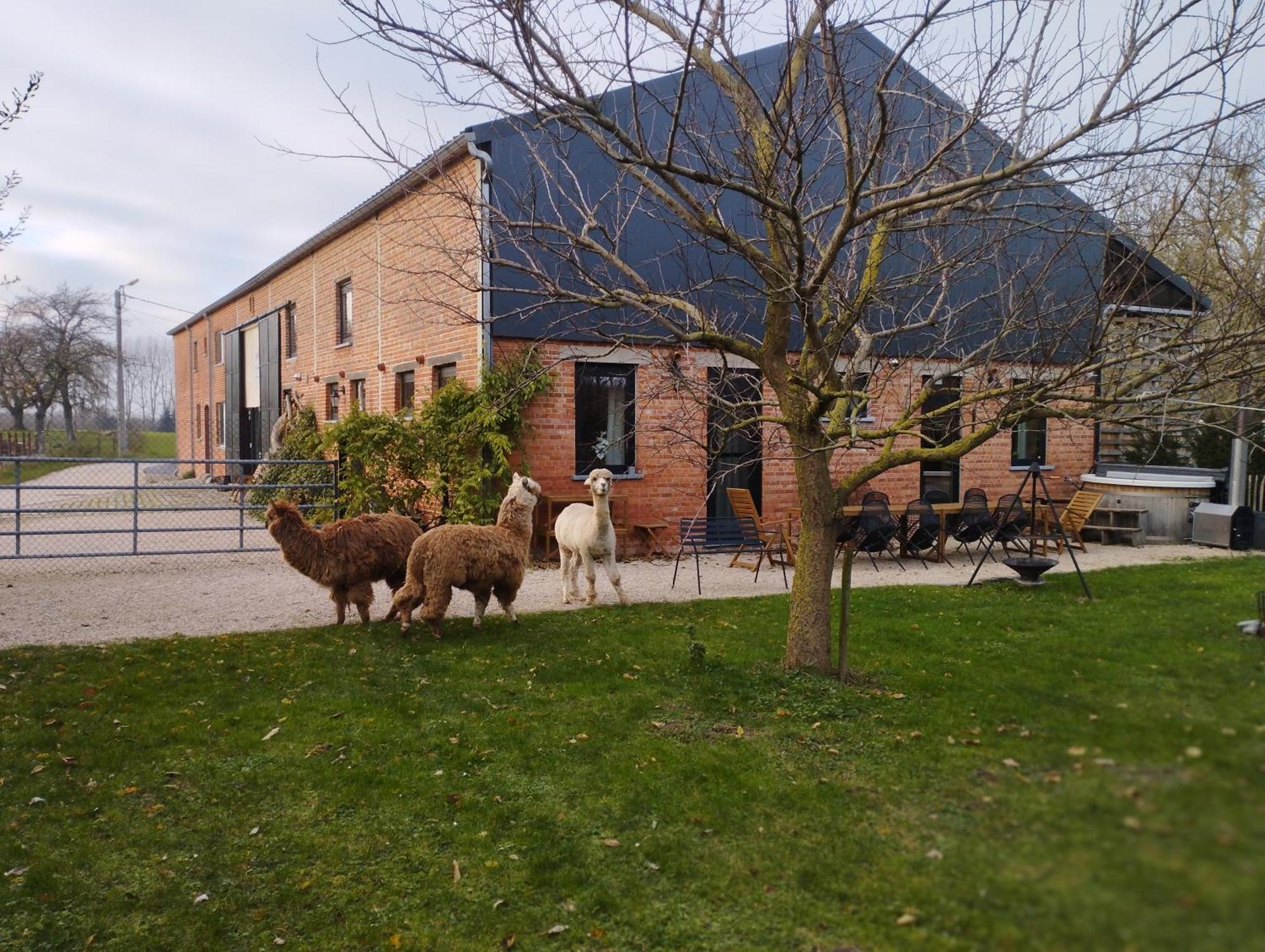 De Smishoeve Met Kinderpret, Dieren En Wellness Heers Exterior foto