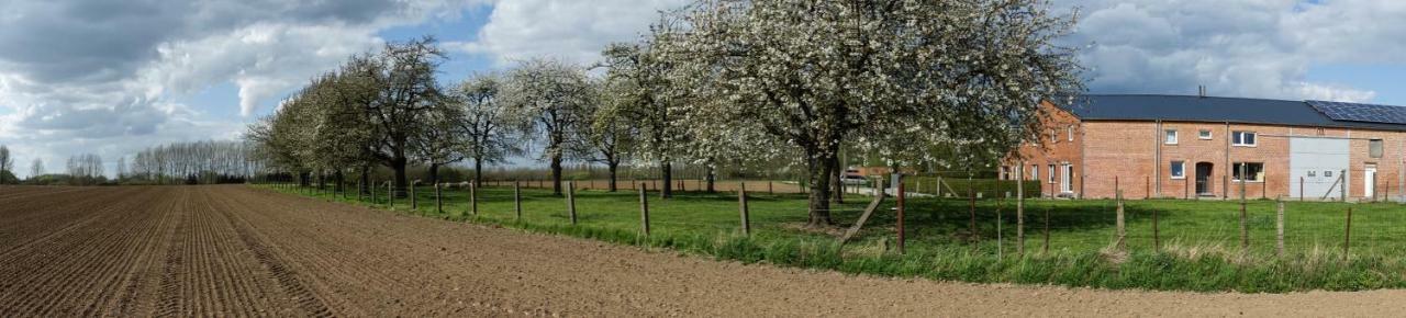 De Smishoeve Met Kinderpret, Dieren En Wellness Heers Exterior foto