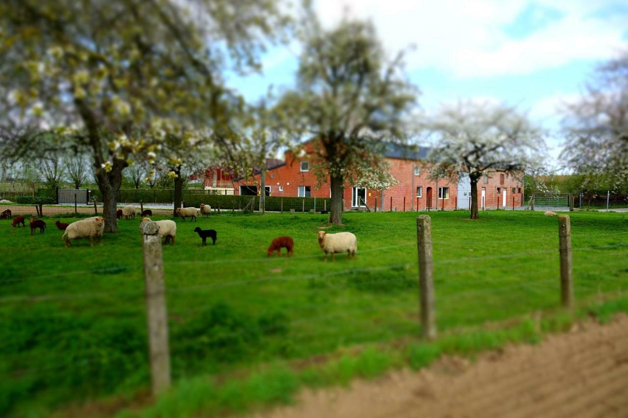 De Smishoeve Met Kinderpret, Dieren En Wellness Heers Exterior foto